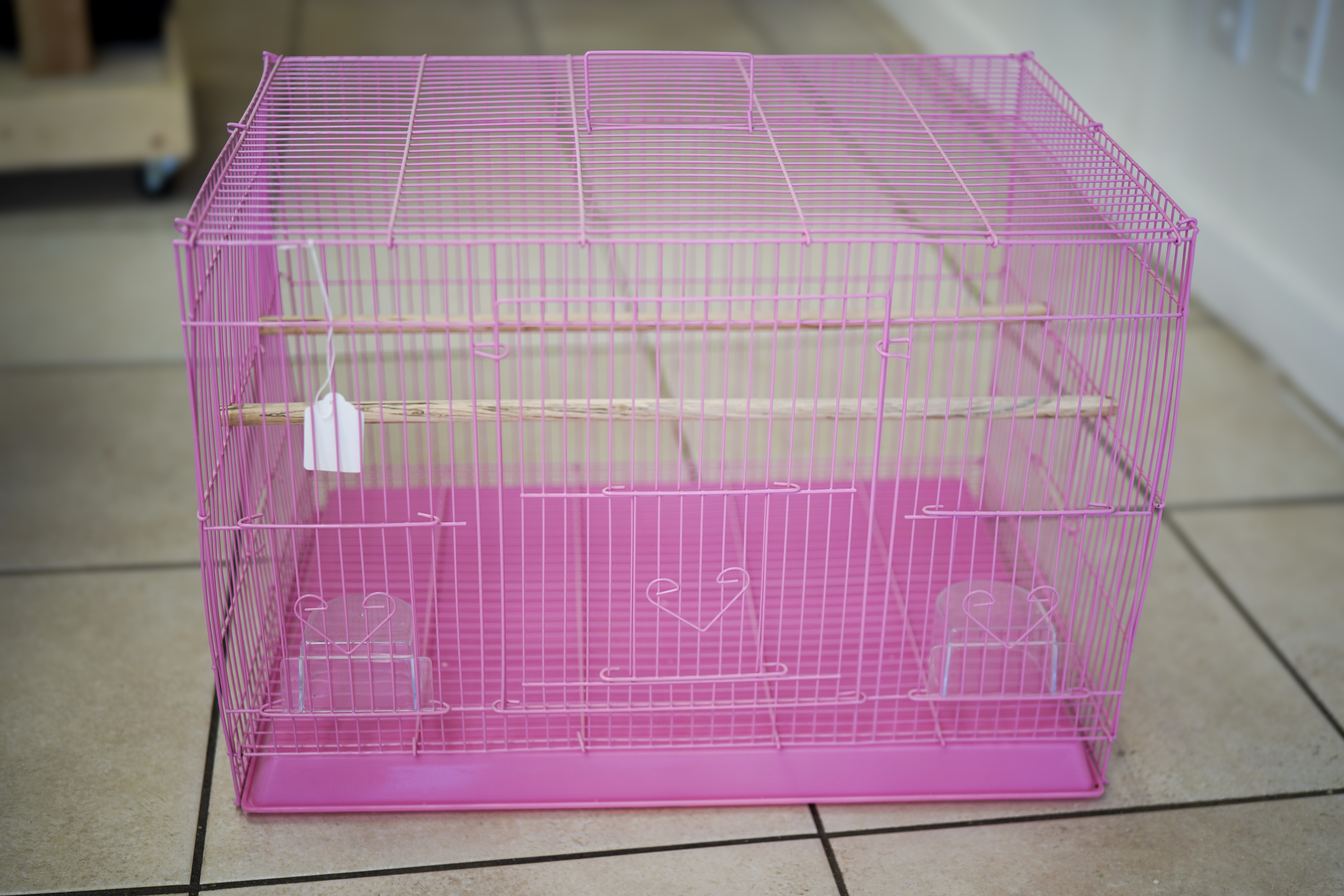 Pink bird cage