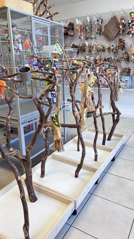 Bird Supplies at VCM Bird Land